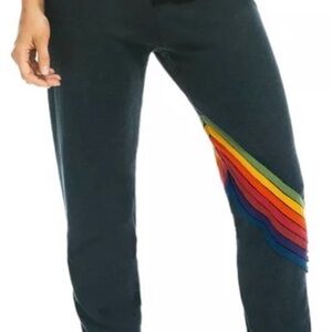 Aviator Nation Diagonal Stripe Sweatpants, Adult Small - Charcoal